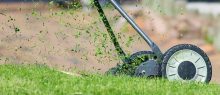 Comment utiliser une motobineuse pour créer des rangées de cultures parfaites dans votre jardin